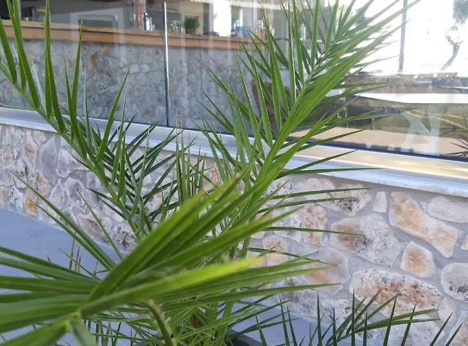 Hara Ξενοδοχείο Rachoni (Thasos)